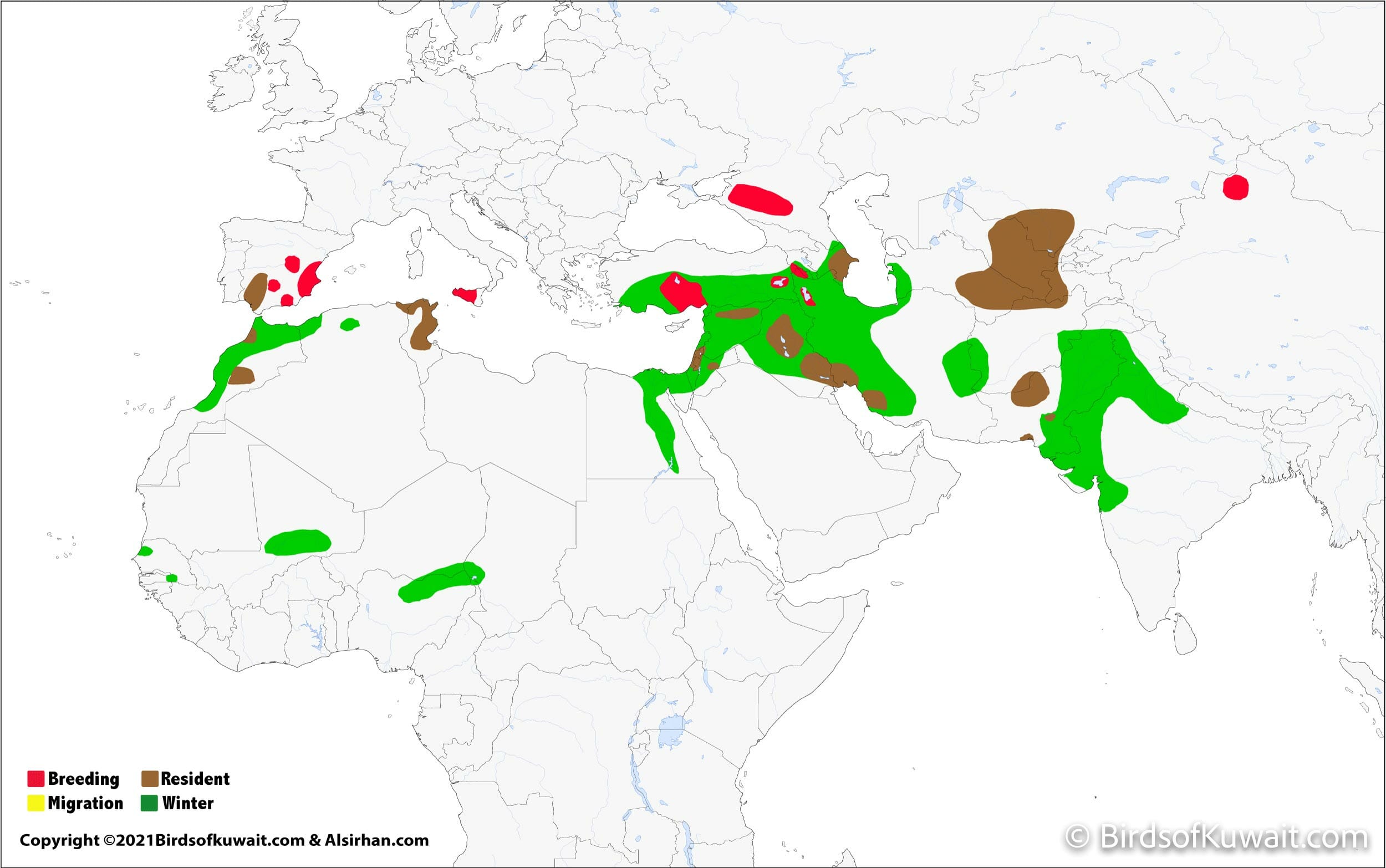 Distribution map of Marbled Duck Marmaronetta angustirostris