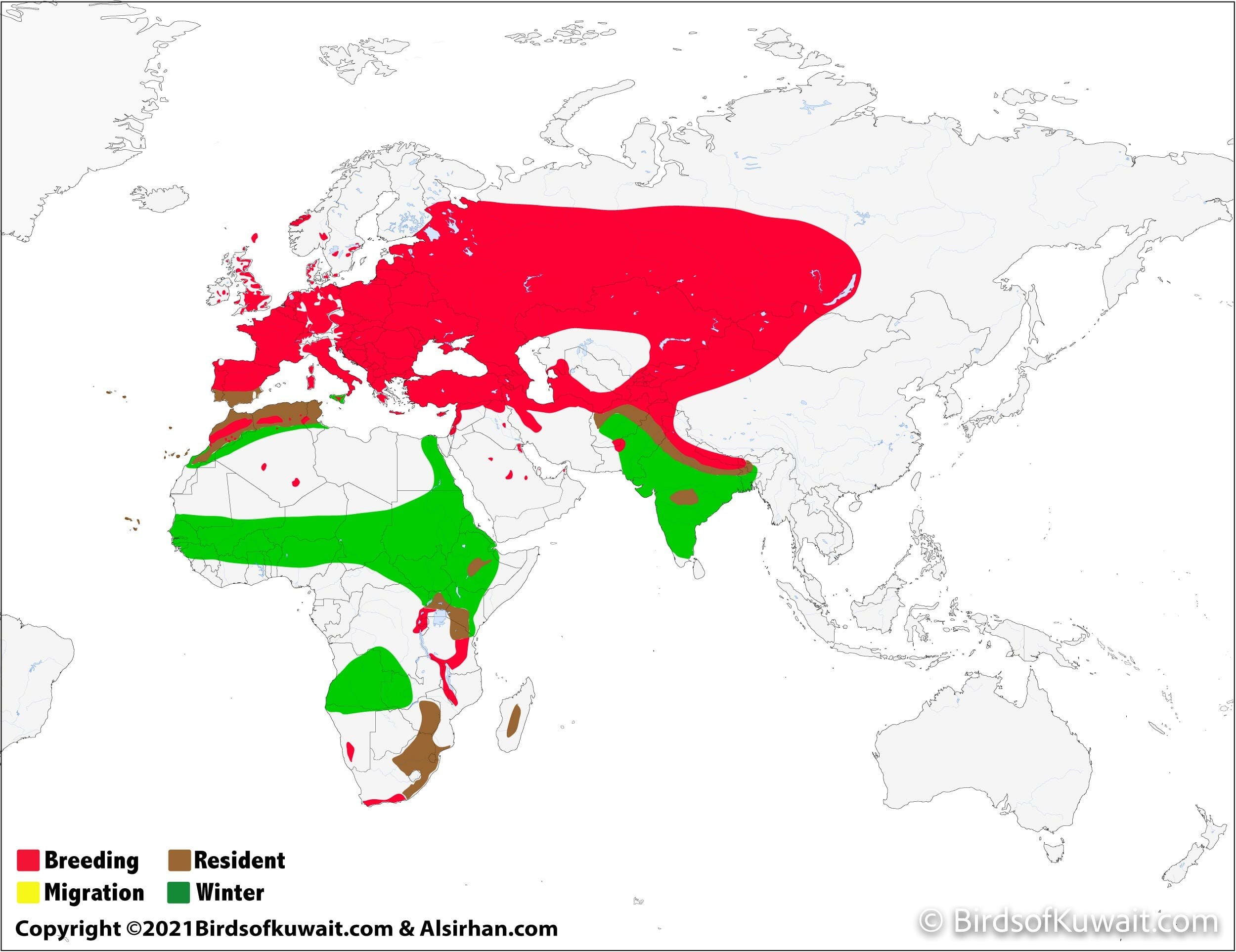 Distribution map of Common Quail Coturnix coturnix 
