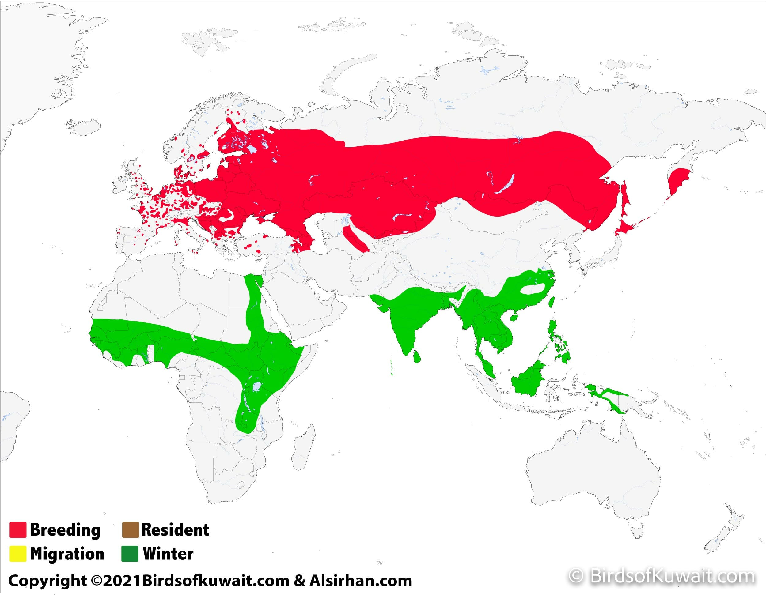 Distribution map of Garganey Anas querquedula 