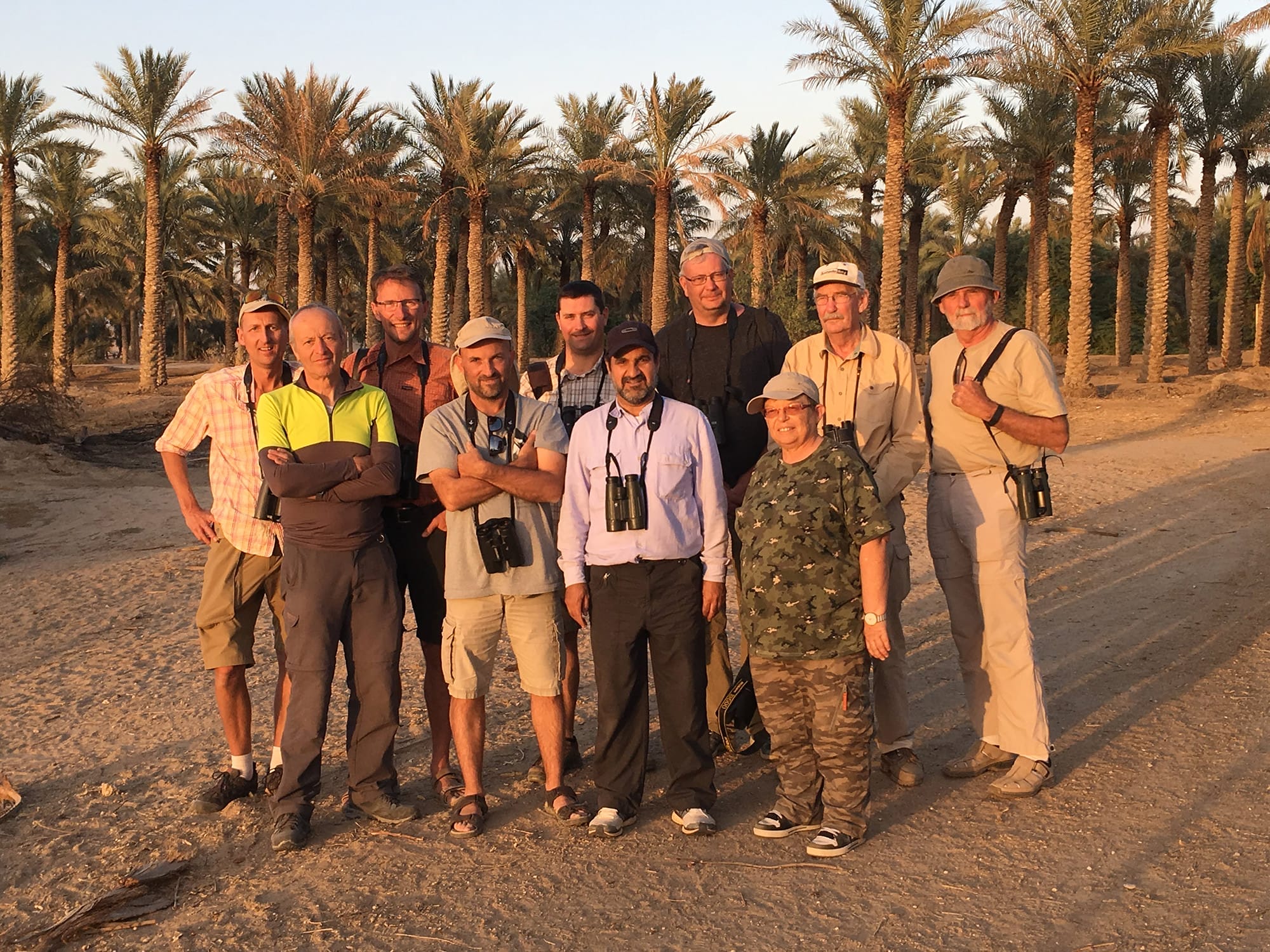 Kuwait Autumn Birding Tour 11-19 Nov 2017