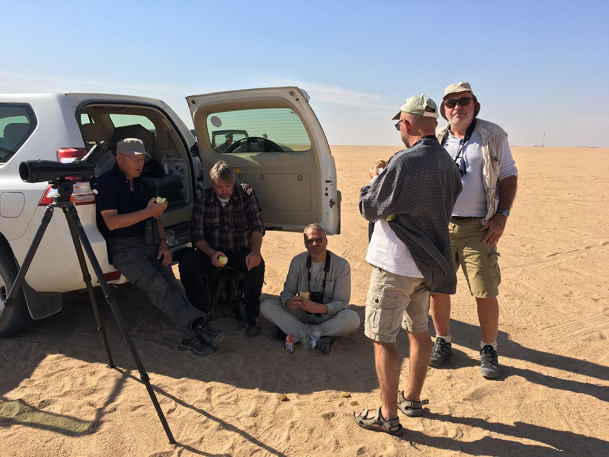 Kuwait Autumn Birding Tour 12-20 Nov 2016
