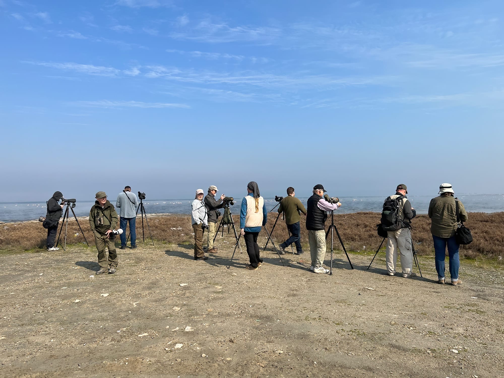 Kuwait Winter Birding Tour 17-25 Jan 2023