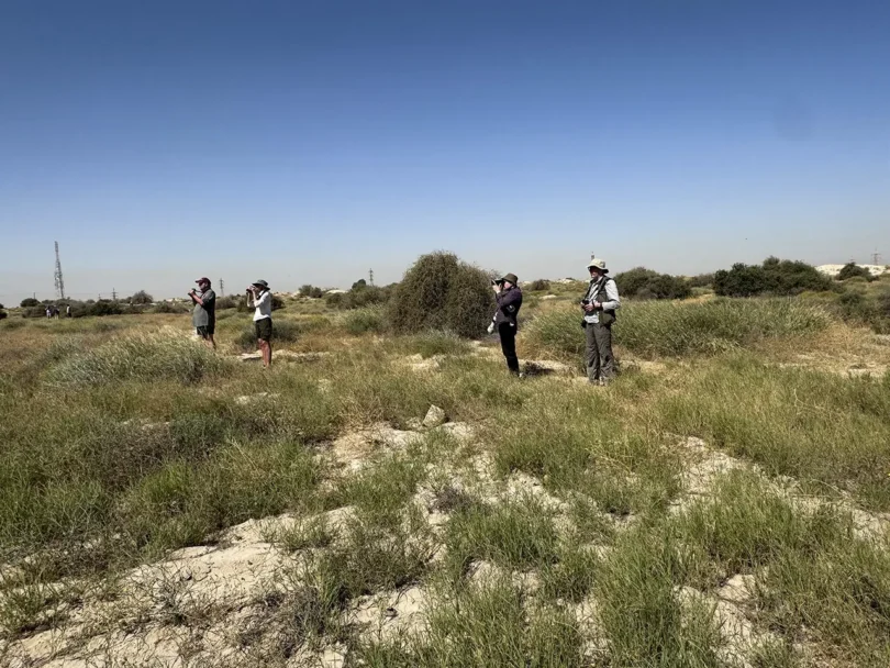 Birding at Julaia'a
