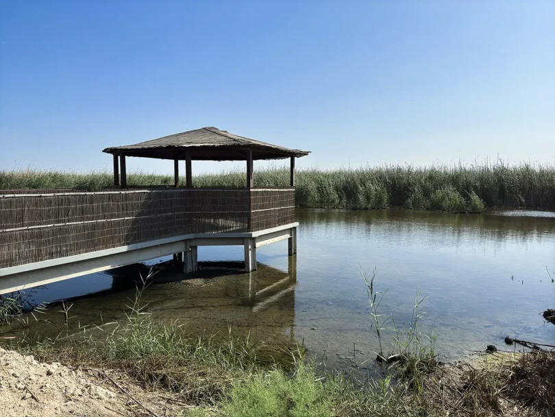 bird watching hide inside Jahra Reserve