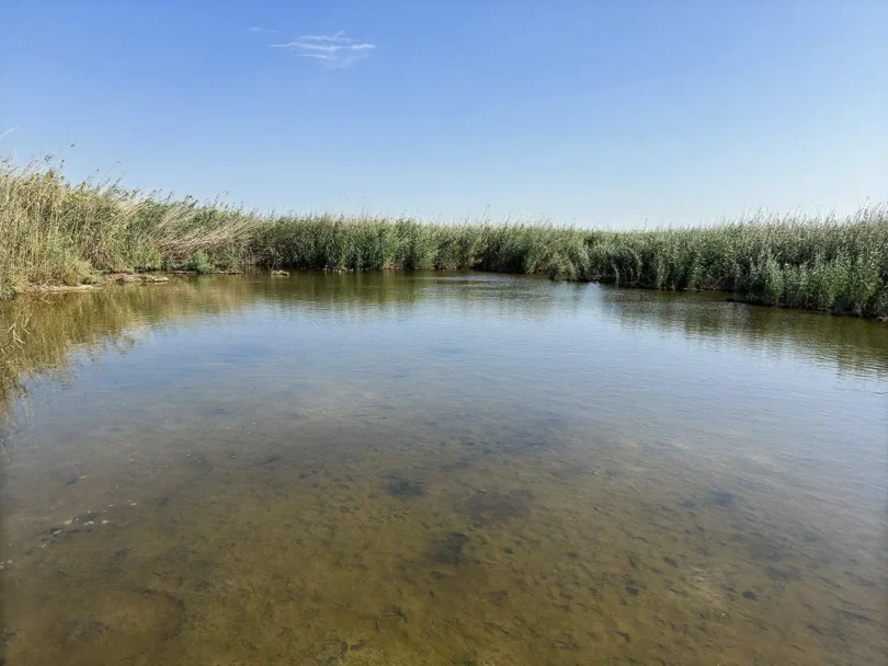 Jahra Reserve pool
