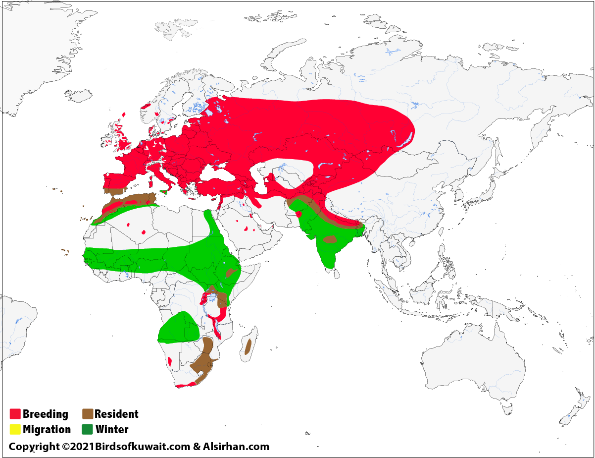 Map of Common Quail Coturnix coturnix