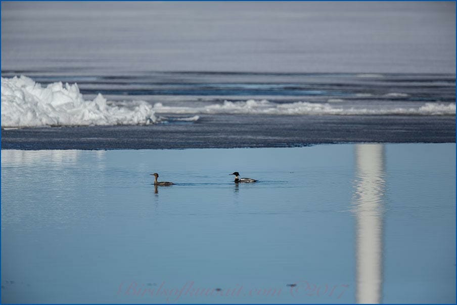 Frozen lake in Oulo, Finland