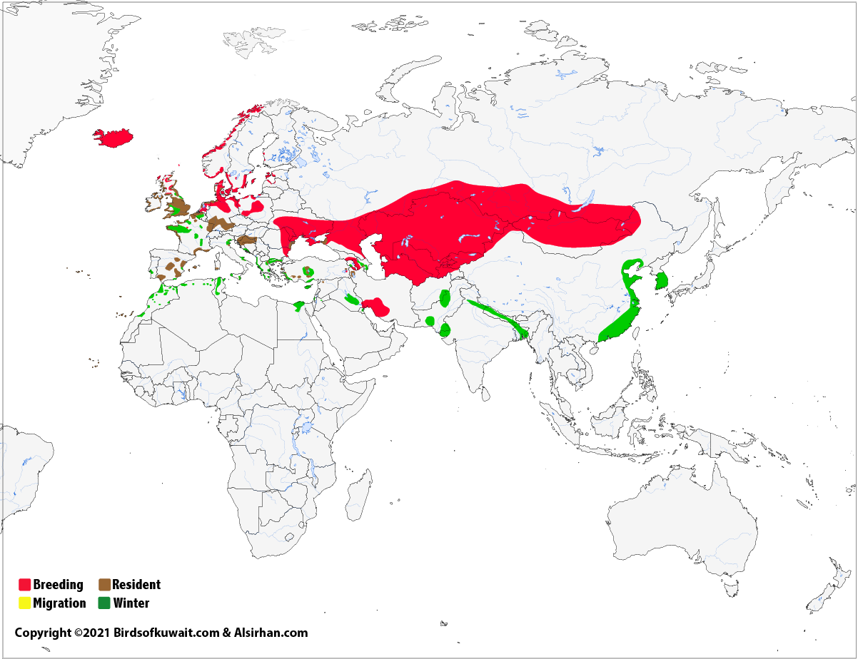 Map of the Common Shelduck Tadorna tadorna