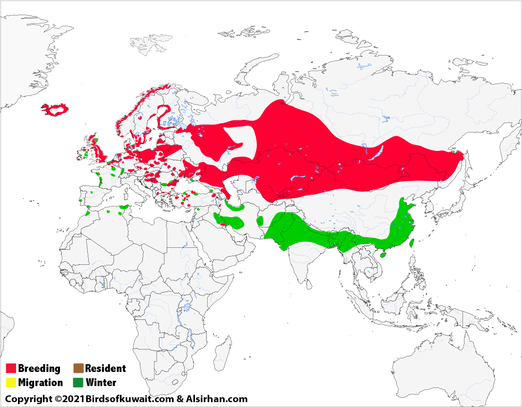 Distribution Map of Greylag Goose Anser anser